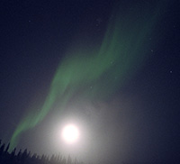 2002_jan.jpg 2002_jan.jpg
